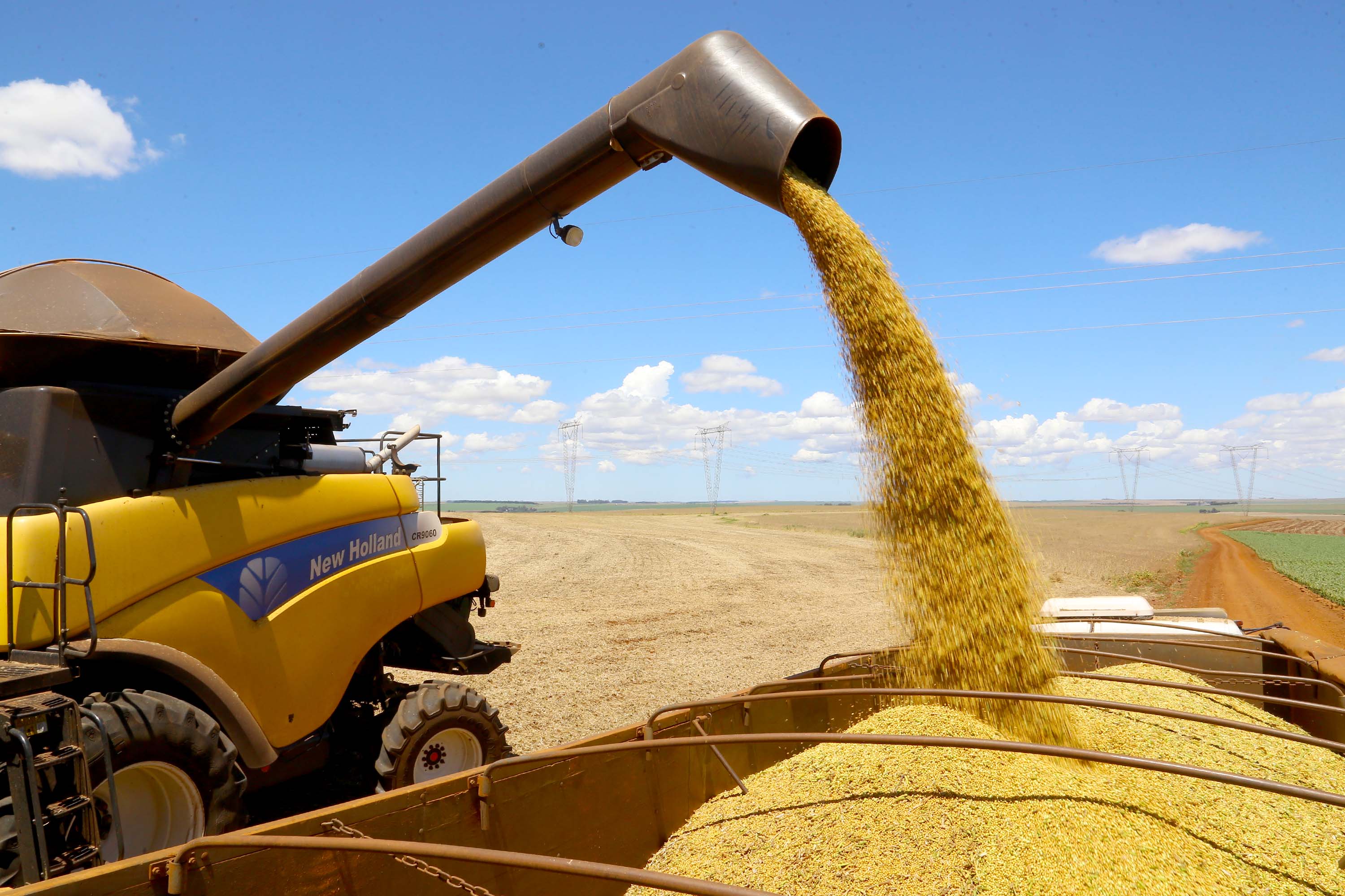 Agricultura Paraná